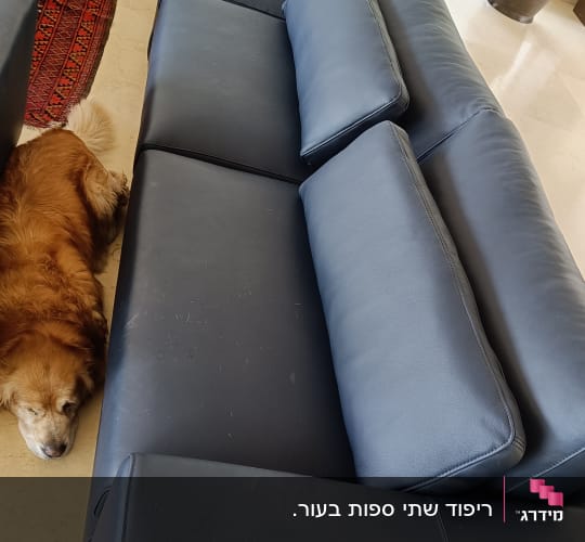 ריפוד שתי ספות בעור. 